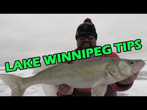 Manitoba Fishing Information Winnipeg
