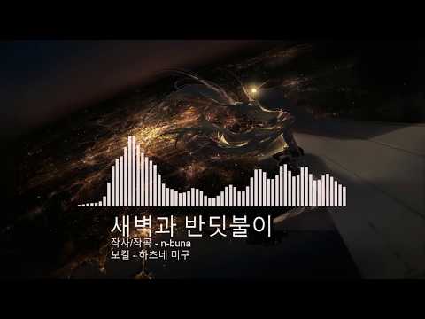[자막] 하츠네 미쿠 - 새벽과 반딧불이 | n-buna