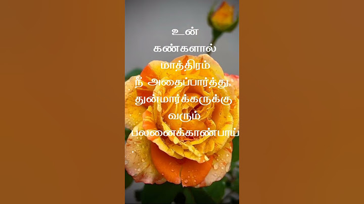 30 June 2025