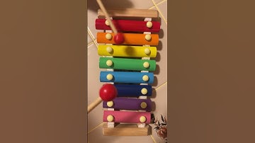 Xylophone Played Super Simple Songs
