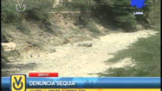 Amanece Lara Falcon Mat 31