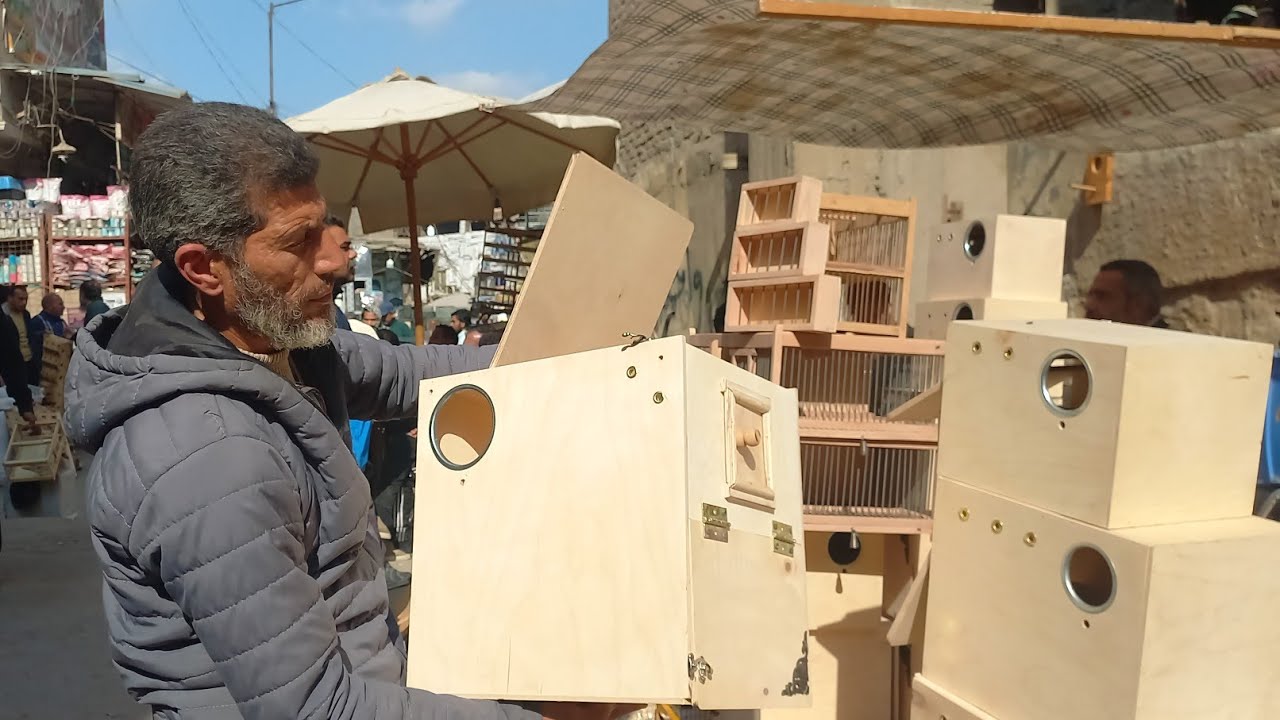 اسعار العشوش الجديدة لكل انواع العصافير والبغبغانات هذا الأسبوع  عند الشيخ جمال بالاسعار ورقمه