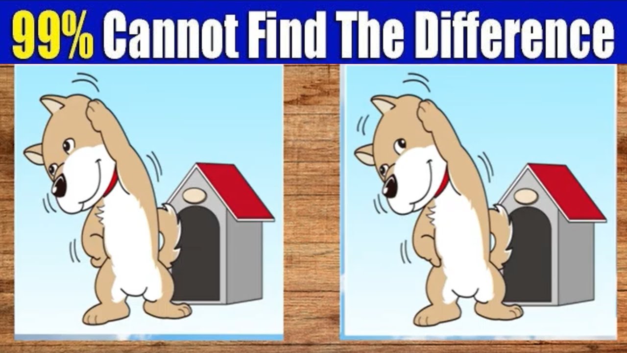 Spot The Difference : Can You Find Them All? | Quiz #164 | Puzzle Pulse ...