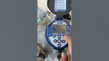 Dig Water timer setup