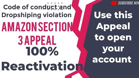 Reactivate Section 3 Amazon Suspended Account |Amazon Section 3 Code of Conduct Reinstatement Appeal