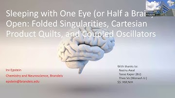 Brandeis Math Bio Seminar - Nov. 12th, 2025 - Irving Epstein (Brandeis University)