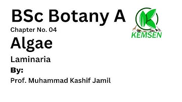 Laminaria I Algae I BSc Bot A I Chapter No. 04 / KEMSEN