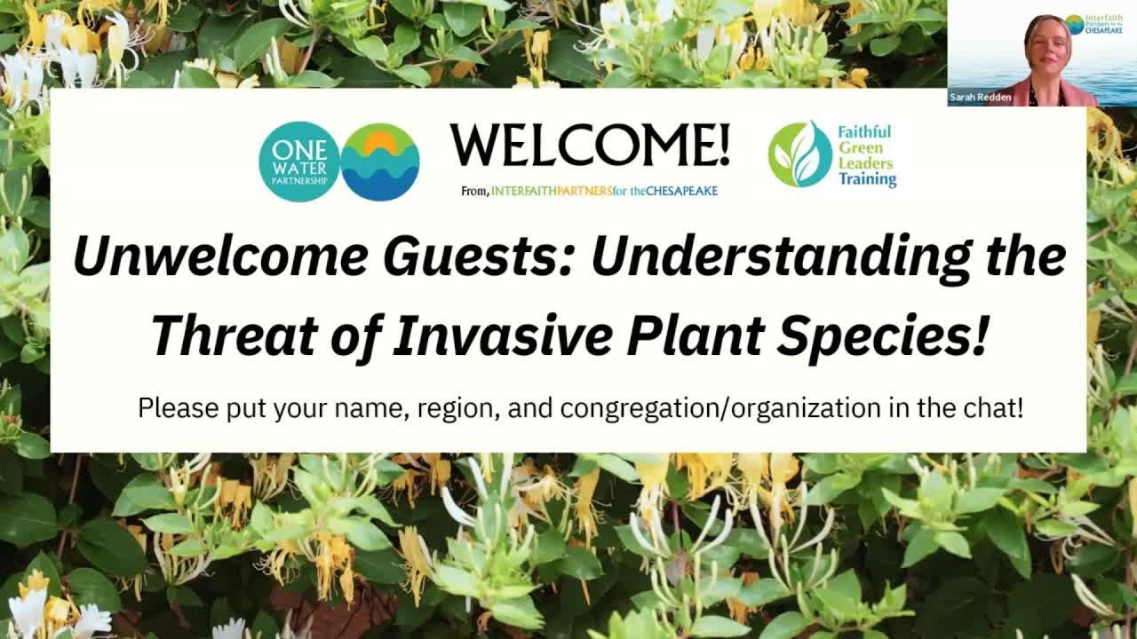 Unwelcome Guests: Understanding the Threat of Invasive Plant Species Learning Lab