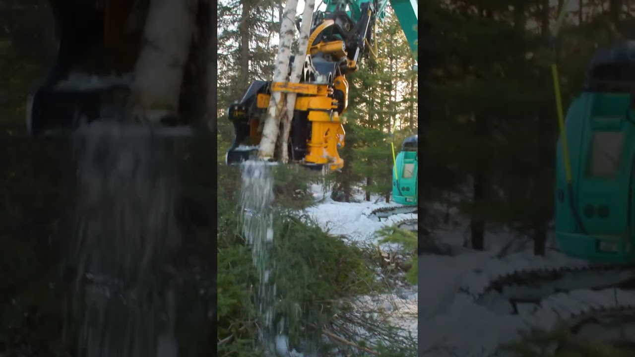 TMK 300 cutting through the birch like it’s butter! 🔪🧈 