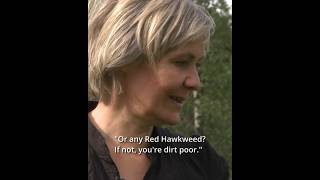 More Words of Wisdom From Maria Vildhjärta Westerberg