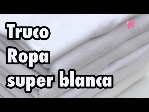 Video: ¿Lavo la ropa blanca con agua fría?