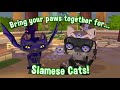 What's New in Animal Jam? | June Update