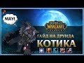 Гайд на Друида КОТА 🐯 (Feral Druid Cat DPS) | World of Wacraft: Classic