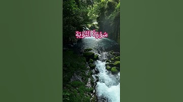 Surah Tauba | سورة التوبة | Powerful Chapter of the Holy Quran#viral#short#trending