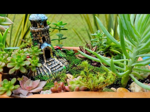Como montar um mini jardim + como faço o meu substrato