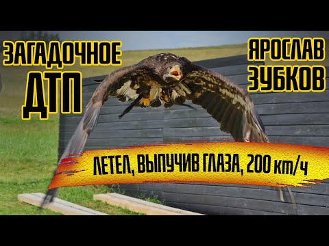 ЗАГАДОЧНОЕ ДТП НА ТАВРИДЕ / ПОПУЛЯРНАЯ ВЕРСИЯ / ЯРОСЛАВ ЗУБКОВ