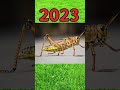 2023 Grasshopper Vs 5000 Bce Grasshopper mp3