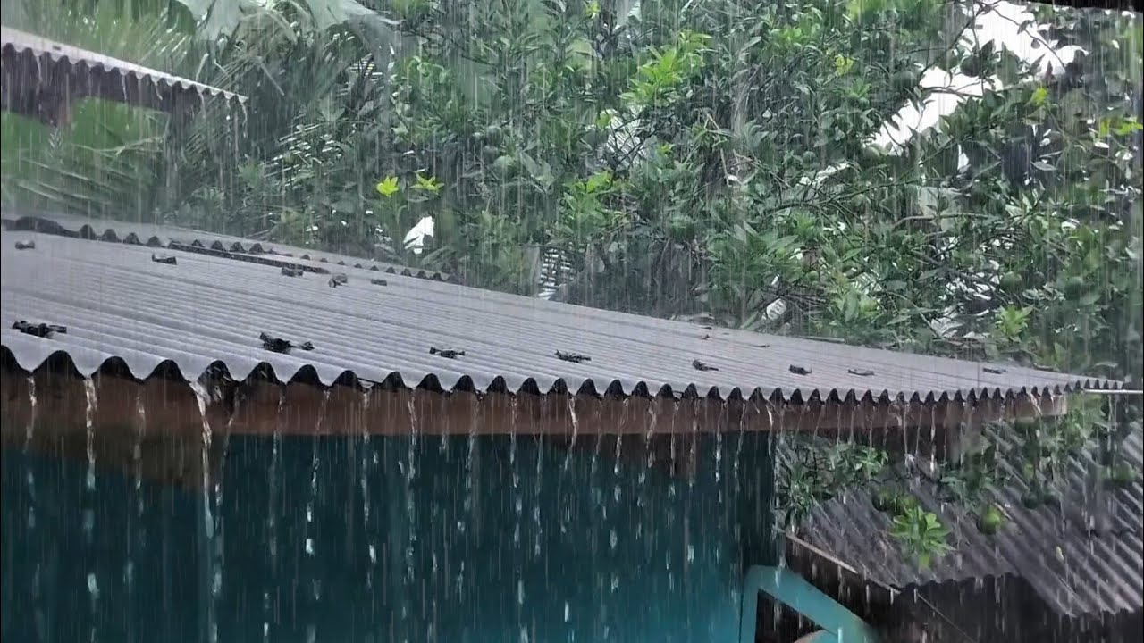 Super Loud Rain on Roof 🌧️ Sleep Fast & Relax Deeply