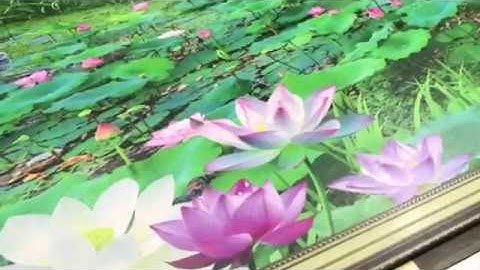 Máy In UV Trên Mọi Chất Liệu