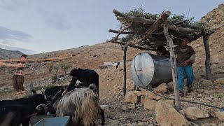 "Nomad woman built a shelter with bare hands! | Unbelievable but true"