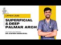 Superficial &amp; Deep Palmar Arch|| Upper Limb Anatomy || First Year MBBS || Anatomy lectures by Ashish