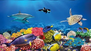 🐟🐠 DREAM AQUARIUM 🐟🐠  2 Hours ▪️[FULL HD 4K]▪️ ·Mixed· (Virtual Aquarium)