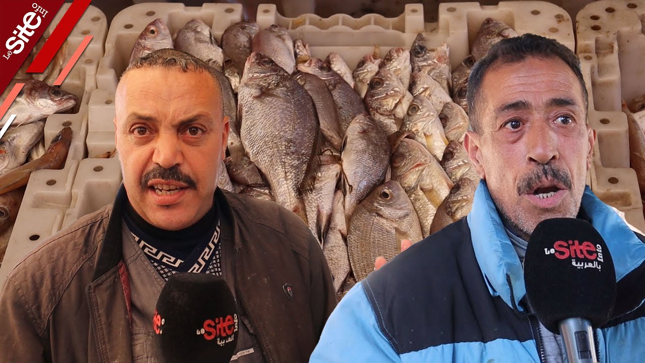 أسعار السمك تحلق عاليا بمدينة وجدة ومهنيان: هادشي غالي بزاف والله يحسن العوان