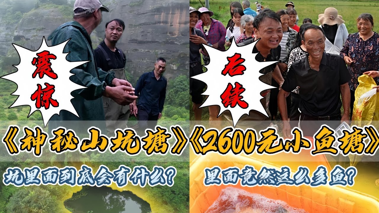 大表哥花2800元包下深山里的山坑塘，坑里面到底会藏着什么？｜花2600元包下口老鱼塘，没想到里面竟然这么多鱼？
