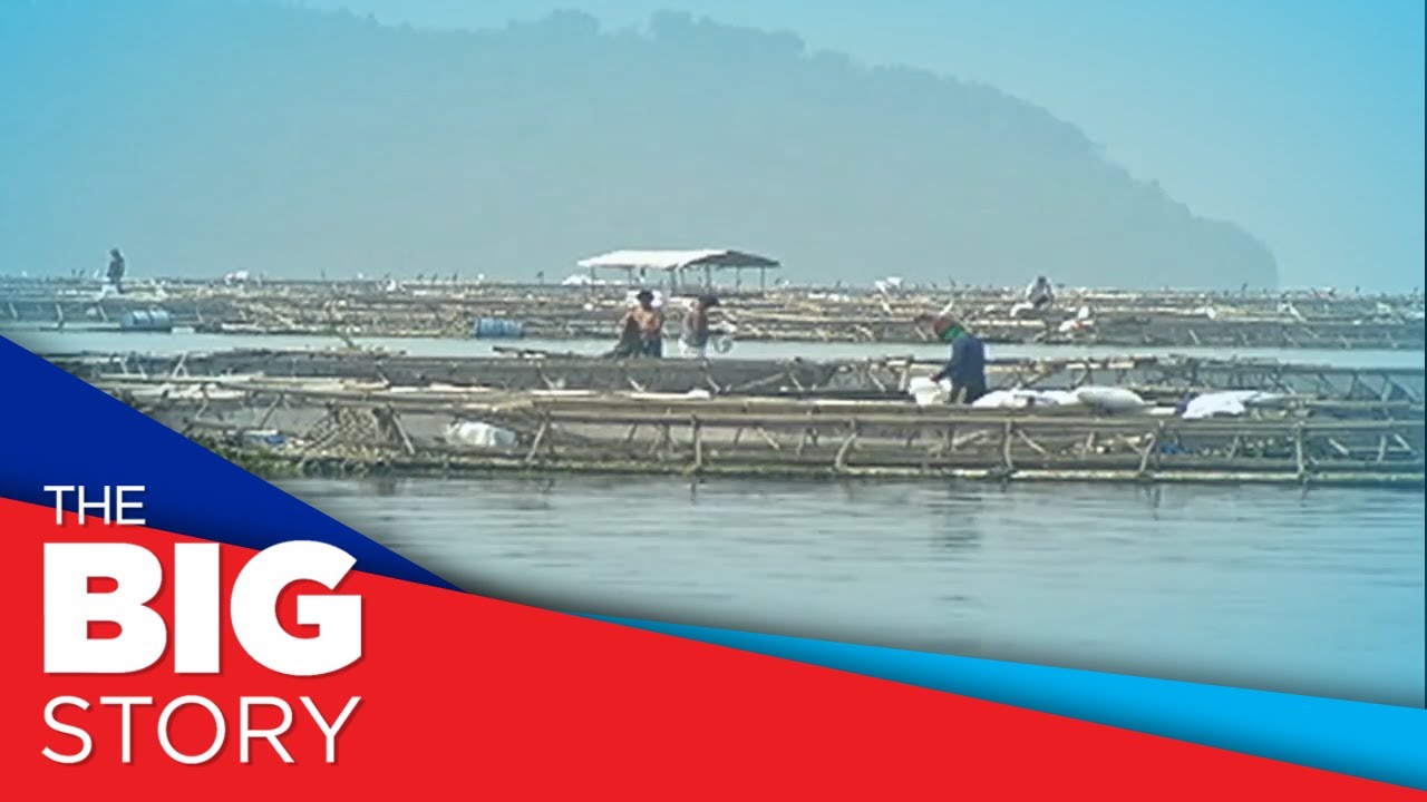 BFAR confirms 109 metric tons of fish have died in Taal lake