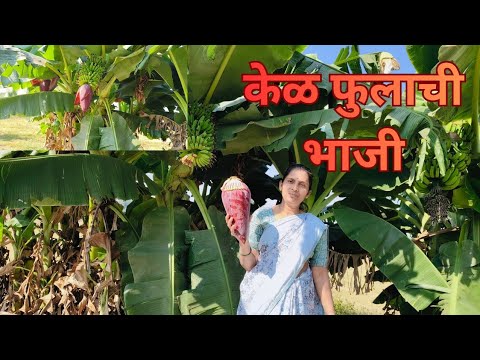 ЁЯФерд╕рдХрд╛рд│рдЪ рд░реБрдЯреАрди ЁЯОЙЁЯТБ рдХреЗрд│ рдлреБрд▓рд╛рдЪреА рднрд╛рдЬреА рдмрдирд╡рд▓реА ЁЯМ┐ЁЯМ▒ЁЯМ┐ЁЯМ▒ Daily routine vlogs ЁЯФерд╕рдХрд╛рд│рдЪ рд░реБрдЯреАрди ЁЯОЙЁЯТБ рдХреЗрд│ рдлреБрд▓рд╛рдЪреА рднрд╛рдЬреА рдмрдирд╡рд▓реА ЁЯМ┐ЁЯМ▒ЁЯМ┐ЁЯМ▒ Daily routine vlogs