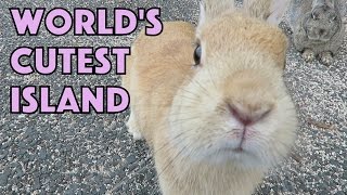 Rabbit Island in Japan by Beffinee 63,382 views 8 years ago 3 minutes, 9 seconds