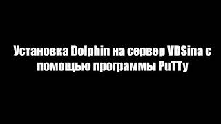 Как установить Dolphin на сервер? Используем VDSina и PuTTy. screenshot 3