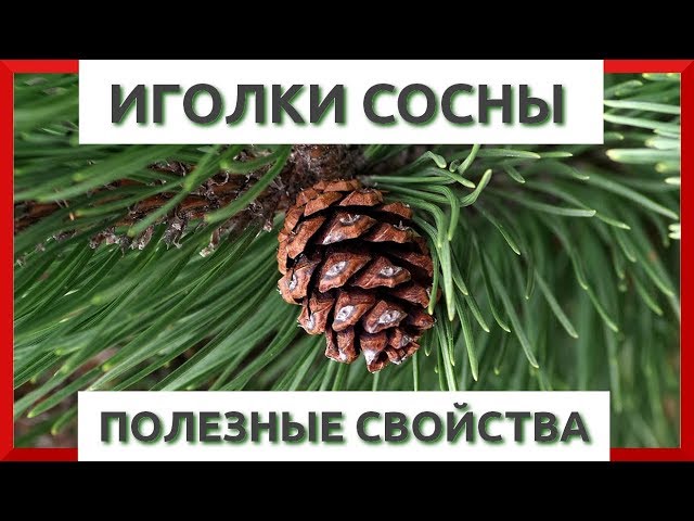 как разработать плечевой сустав после перелома ключицы