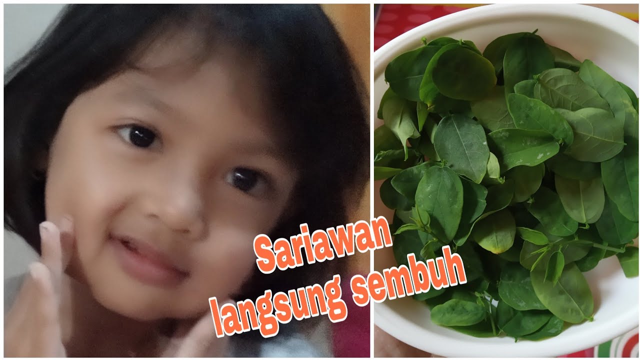 CARA MENGOBATI SARIAWAN DENGAN CEPAT