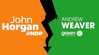 A Costly Choice  The NDP Green Coalition