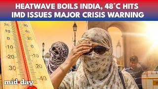 IMD Issues MAJOR ALERT, Heatwave HORROR Kills Several, People Rush To Rivers To Cool Down