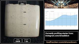 Sourdough Starter Showdown: breadblum (*FULL* profiling session)