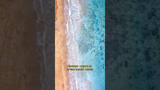 Смотрим квартиру на одном из лучших пляжей Алании🔥🇹🇷 #недвижимостьвтурции