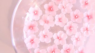 桜のフローティングキャンドル作り。diy craft Cherry Blossoms candle