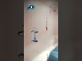#prewdding #virlvideo