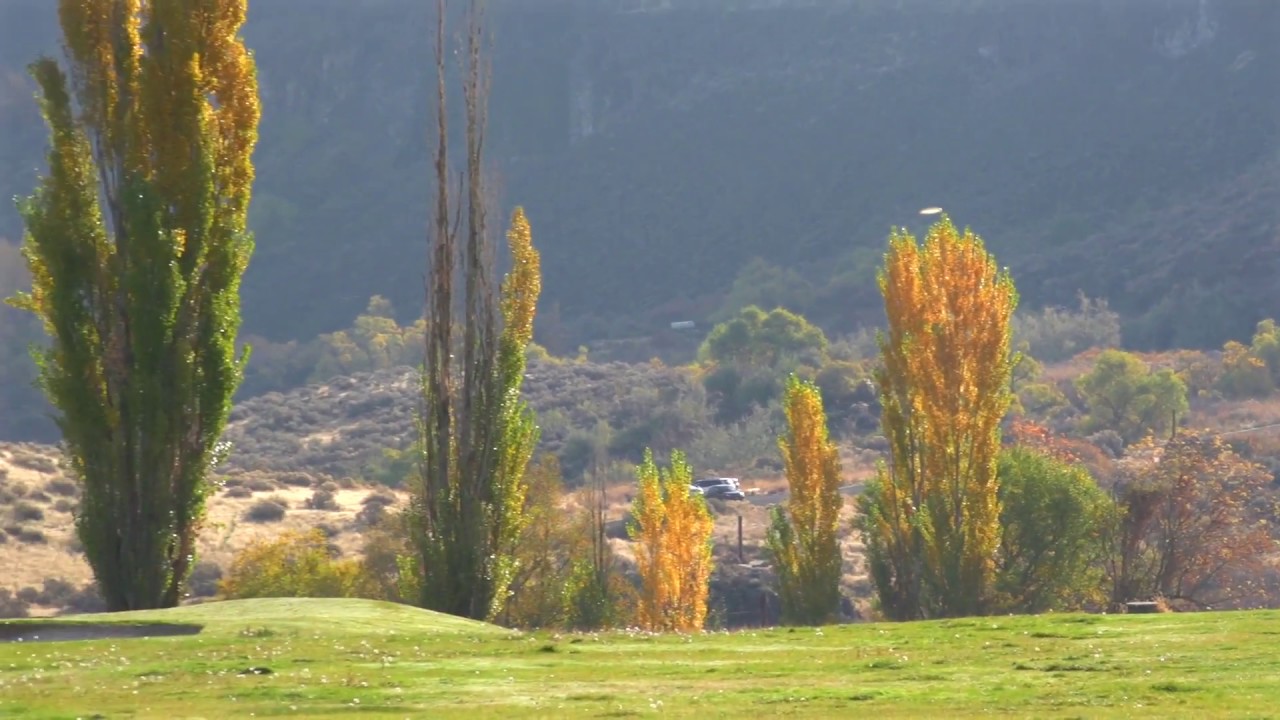 Dynamic Discs Marksman Basket In a Tournament Part 2