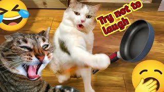 Funniest cats and dogs videos 2024🐈🤡Cute Animals videos 🤡🔥 Part#123 by Won Animals  37 views 3 months ago 2 minutes, 5 seconds