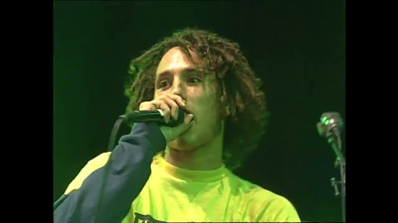 Rage Against The Machine - Without A Face live [PINKPOP FESTIVAL