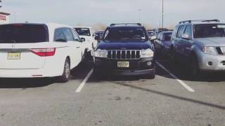 Zé Felipe Brincando Com Seu Amigo