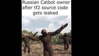 Russian Catbot owner after tf2 source code gets leaked