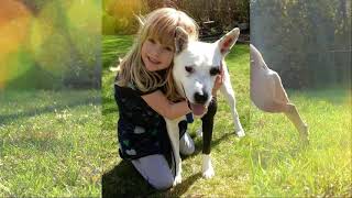 Solomon: One Dog's Improbable, Two-Year, Thousand-Mile Journey to Find Home