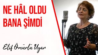 Elif Ömürlü Uyar - Ne Hâl Oldu Bana Şimdi