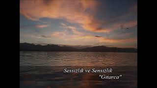 "Sessizlik ve Sensizlik" ~ Gitarca