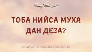 Тоба нийса муха дан деза?