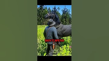 How to Get Rare 100% Black Horse in RDR2 #shorts #rdr2